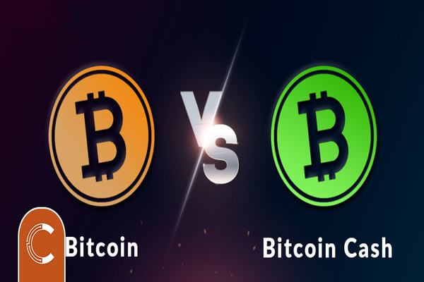 Bitcoin Cash Nedir?
