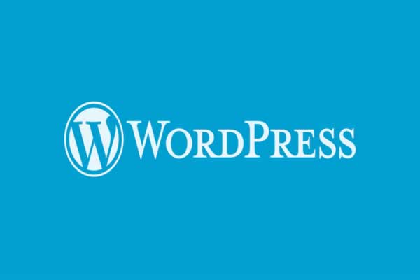 WordPress SEO Ayarları Nasıl Yapılır?
